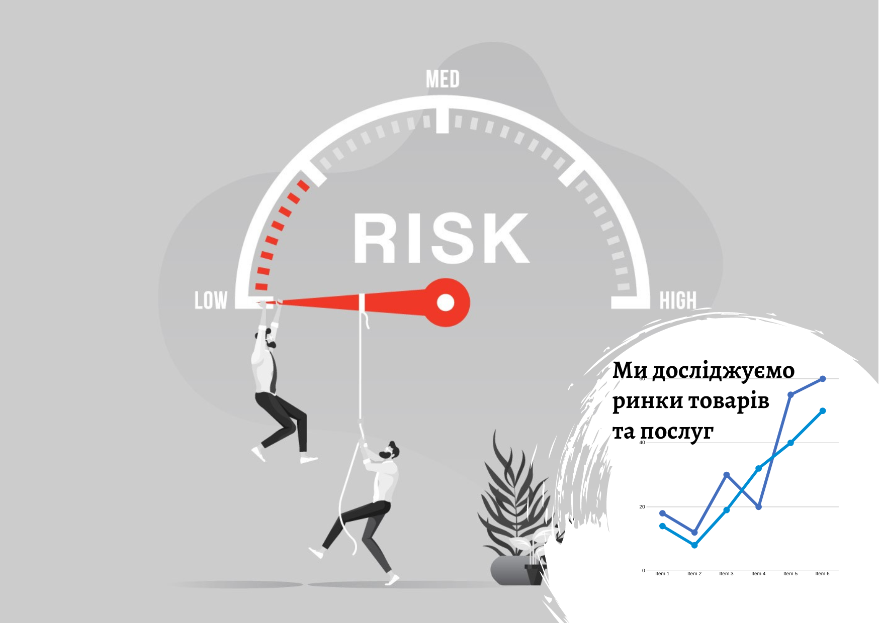 Market research report by Pro-Consulting – learn more about a typical report structure